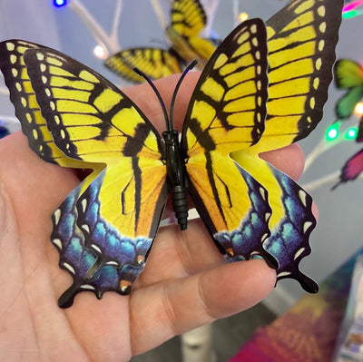 4" Butterfly Flutter Magnet