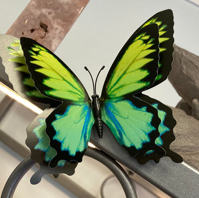 4.75" Butterfly Flutter Magnet