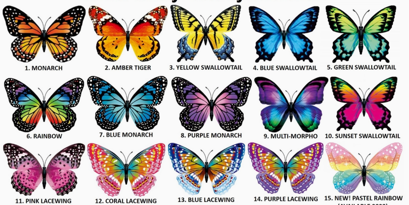 4.75" Butterfly Flutter Magnet