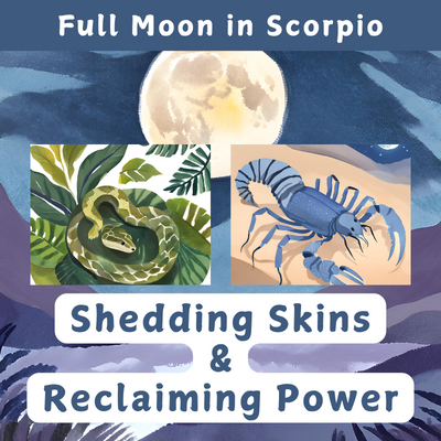 Shedding Skins & Reclaiming Power: Full Moon in Scorpio