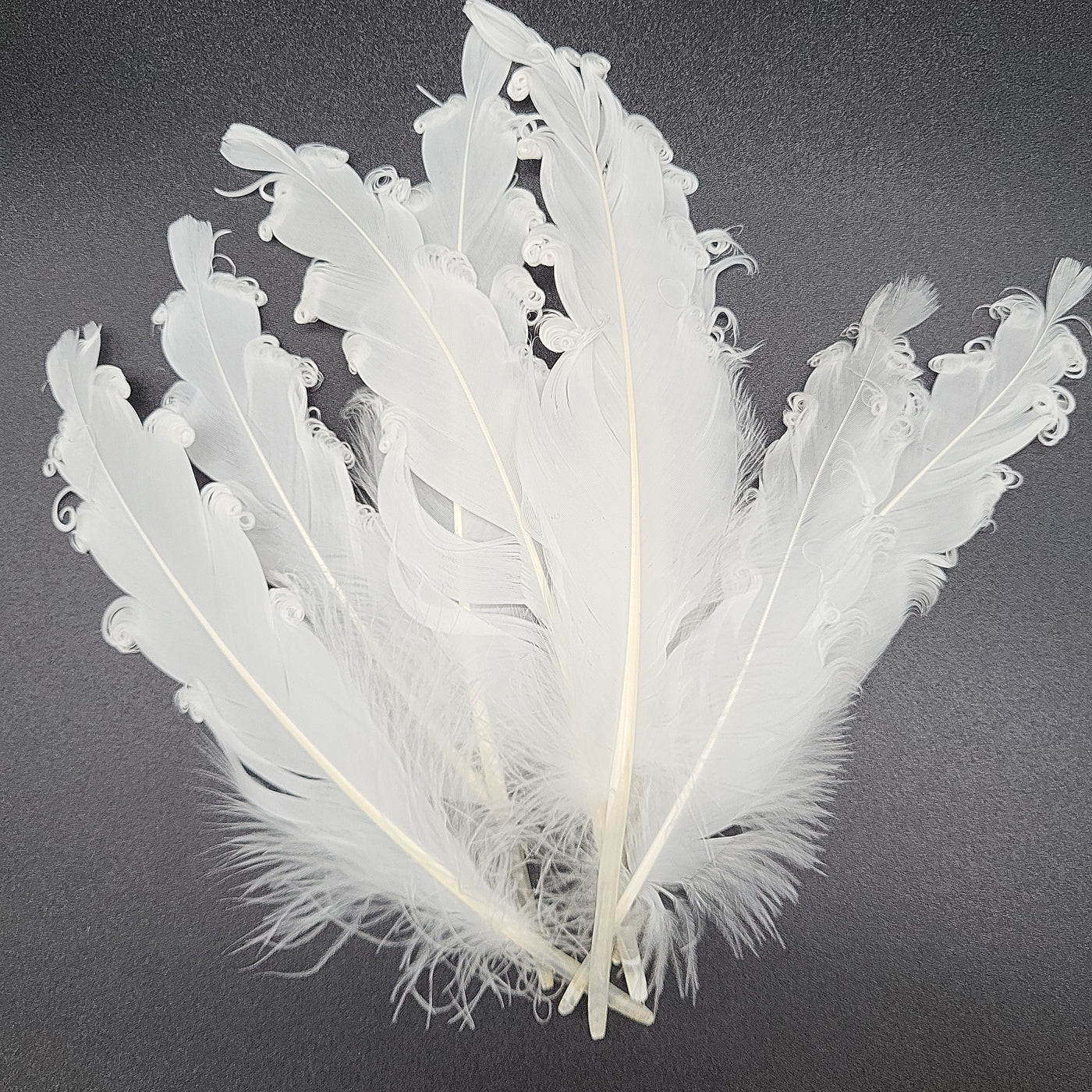 Goose Feather (White)