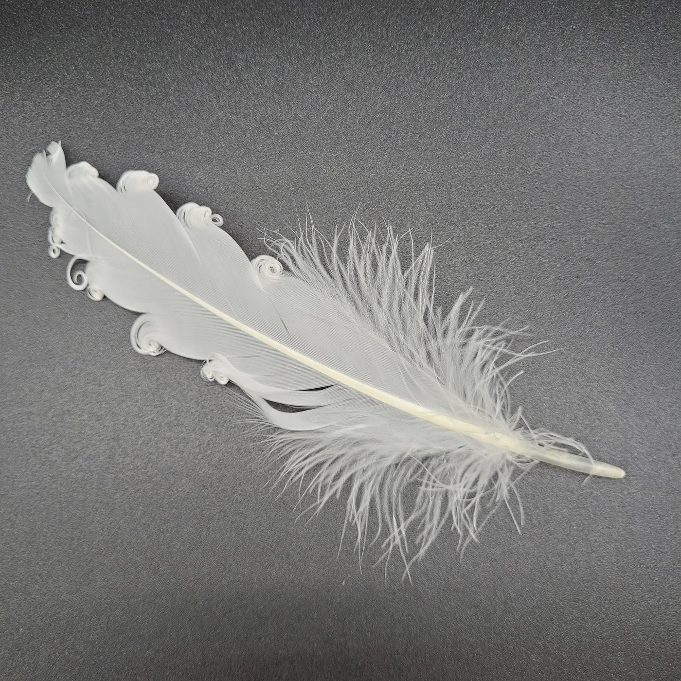 Goose Feather (White)