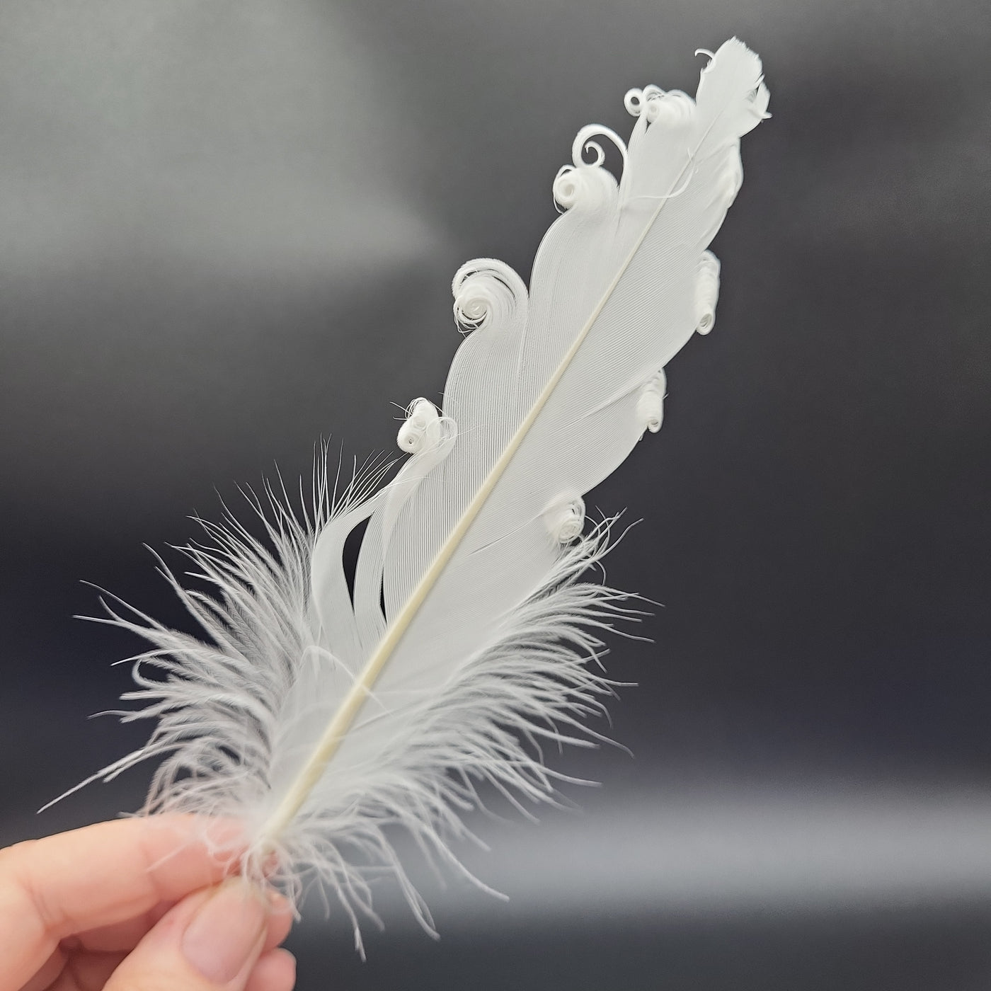 Goose Feather (White)