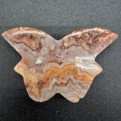 3" Crazy Lace Agate Butterfly Carved Crystal