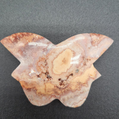 3" Crazy Lace Agate Butterfly Carved Crystal