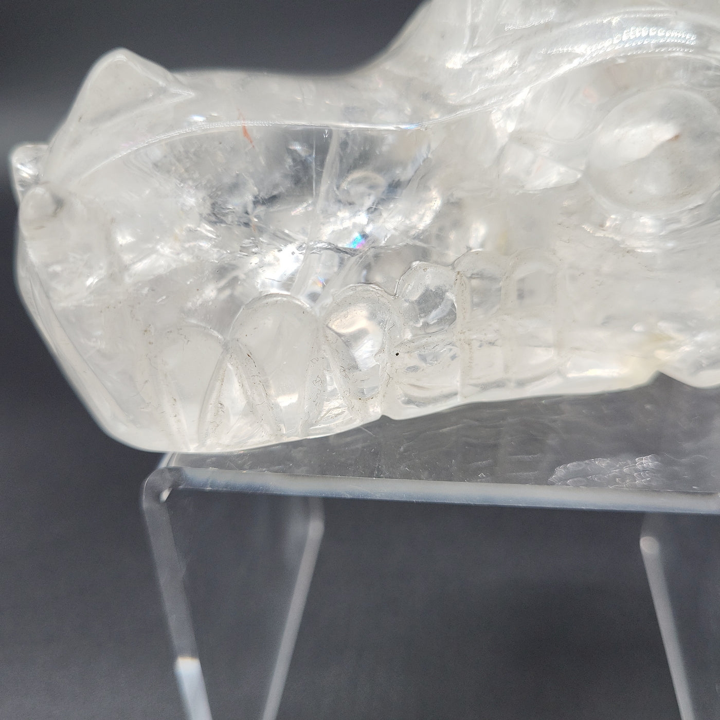 Clear Quartz Dragon Skull 4.25"