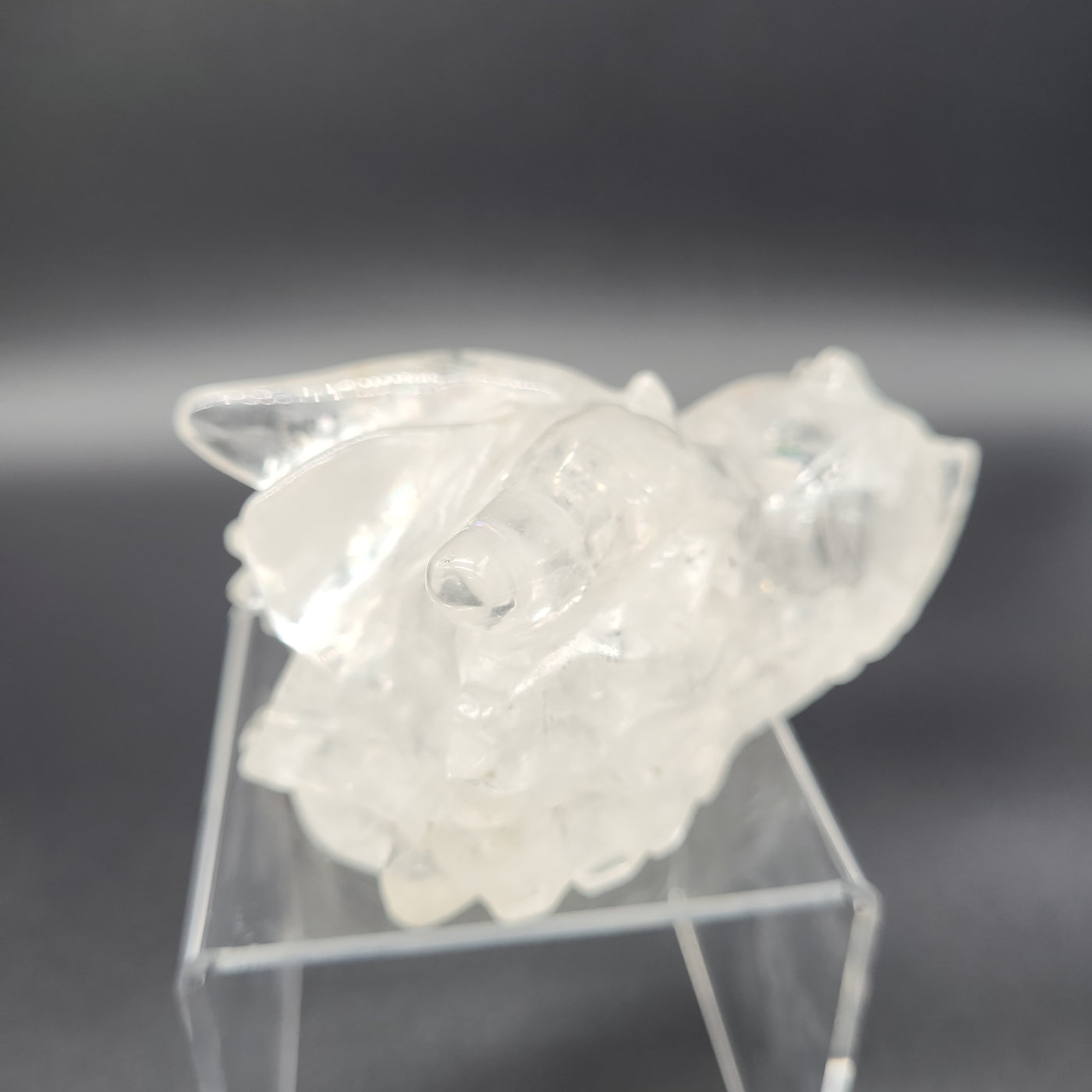 Clear Quartz Dragon Skull 4.25"