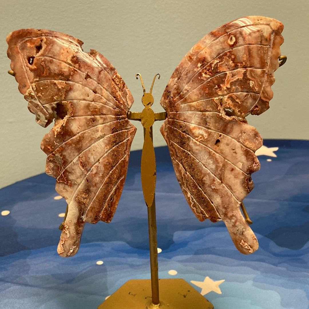 6.5" Crazy Lace Agate Butterfly On Stand