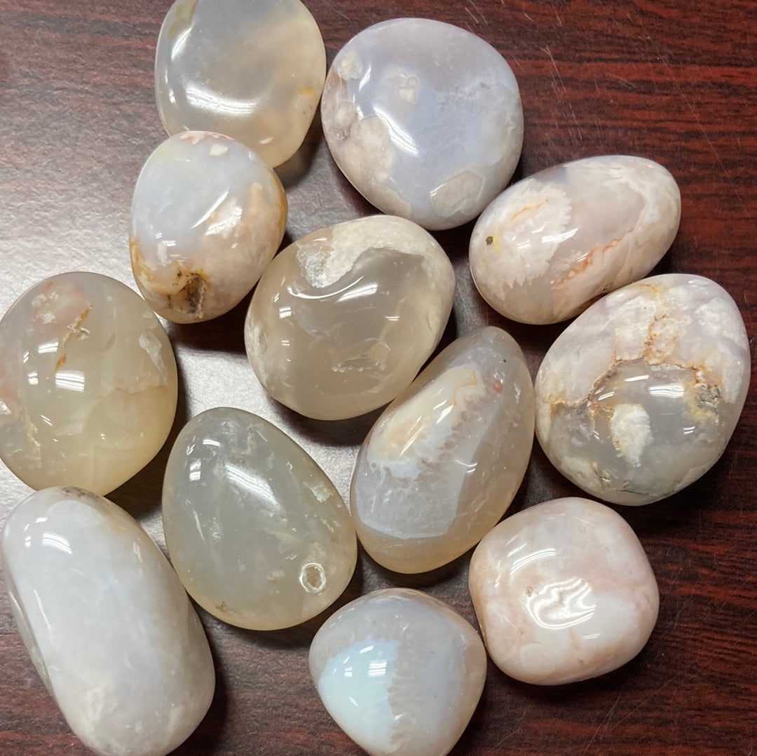 Cherry Flower Agate Tumbled (approx .75"-1")