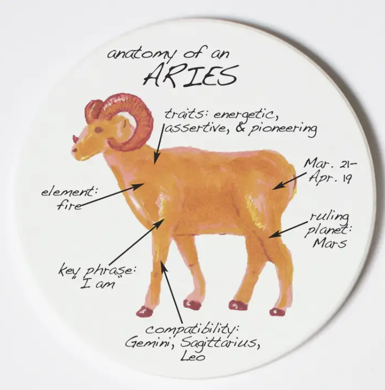 Aries Coaster Zodiac Anatomy Characteristics