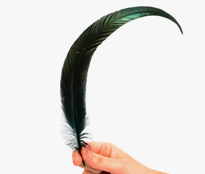 Crow Feather