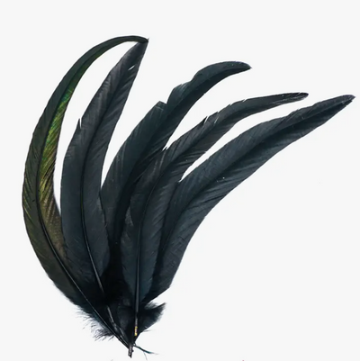 Crow Feather