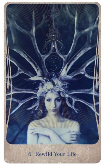 Divine Nature Oracle Deck & Book Set by Angi Sullins, Art; Greg Spalenka