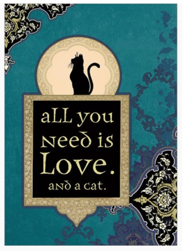 All You Need Greeting/Birthday Card Have a purrrfect birthday! inside