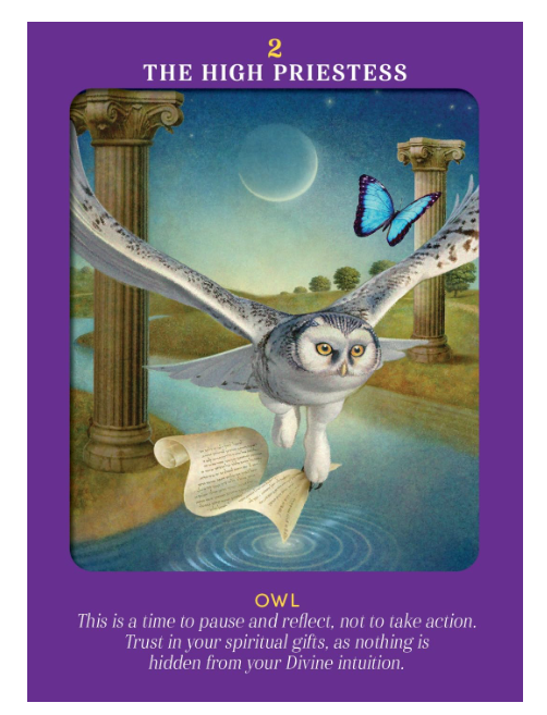 Animal Guides Tarot by Radleigh Valentine