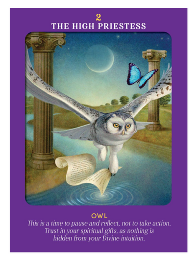 Animal Guides Tarot by Radleigh Valentine