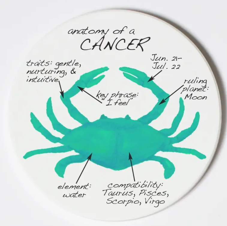 Cancer Coaster Zodiac Anatomy Characteristics