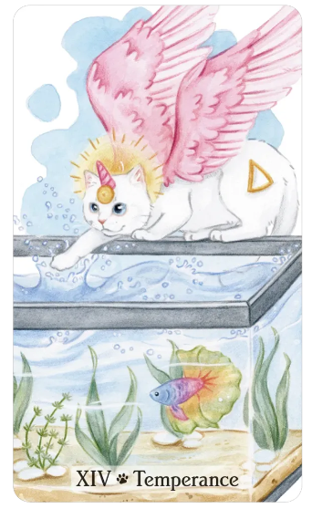 Caticorn Tarot by Pamela Chen