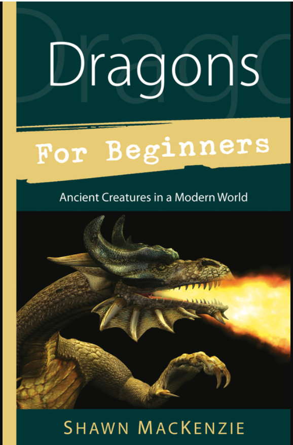 Dragons For Beginners by Shawn MacKenzie