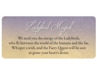 Faery Whispers Oracle Cards: Magickal Messages From the Realm of Enchantment by Lucy Cavendish