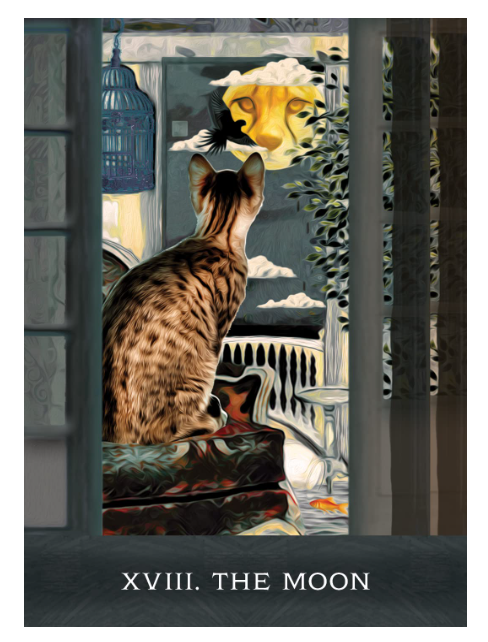 Grimalkin's Curious Cats Tarot: An 80-Card Deck and Guidebook by MJ Cullinane