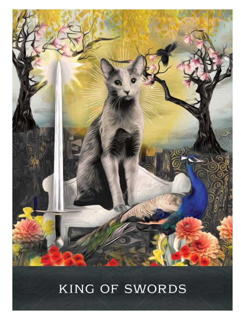 Grimalkin's Curious Cats Tarot: An 80-Card Deck and Guidebook by MJ Cullinane