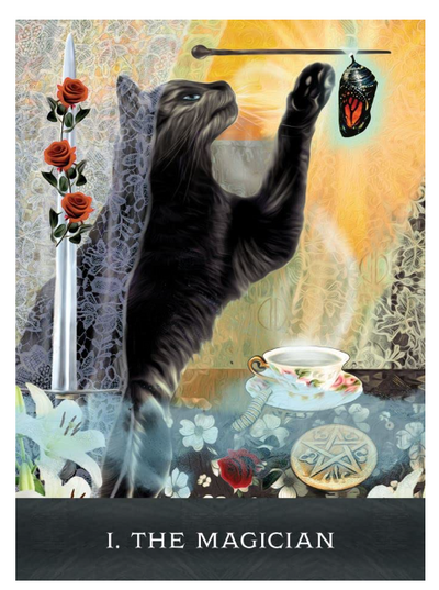 Grimalkin's Curious Cats Tarot: An 80-Card Deck and Guidebook by MJ Cullinane