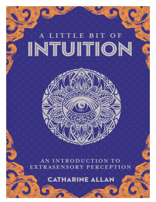 A Little Bit of Intuition by Catharine Allan