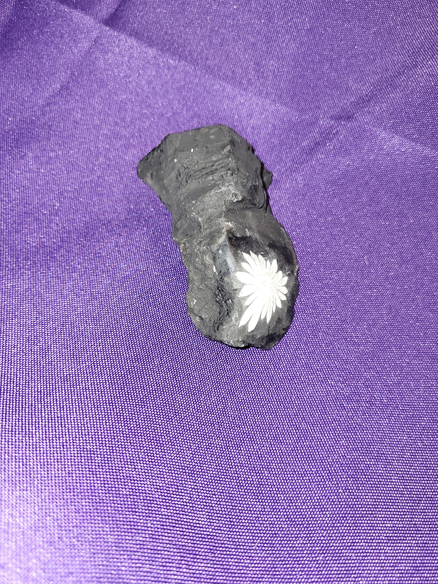 Chrysanthemum Stone Natural Raw
