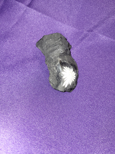 Chrysanthemum Stone Natural Raw