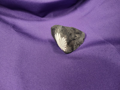Chrysanthemum Stone Natural Raw