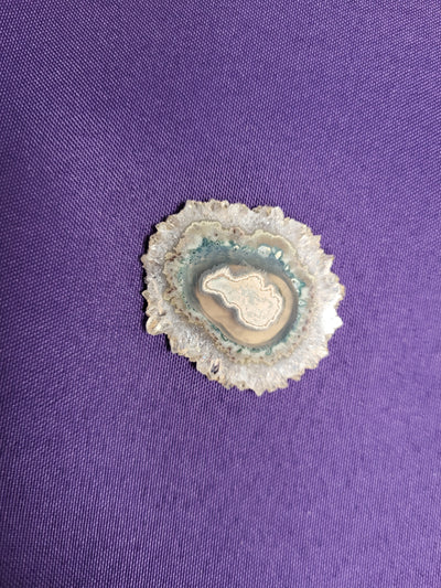Druzy Geode Slice Natural Raw Edge Polished Sides
