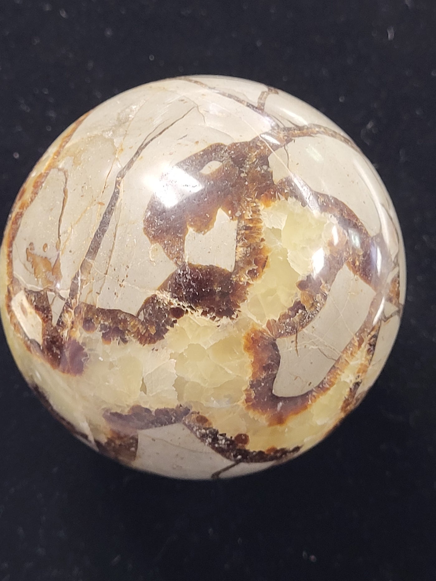 Septarian Sphere 3"