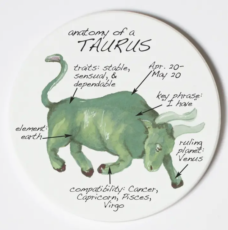 Taurus Zodiac Anatomy Coasters