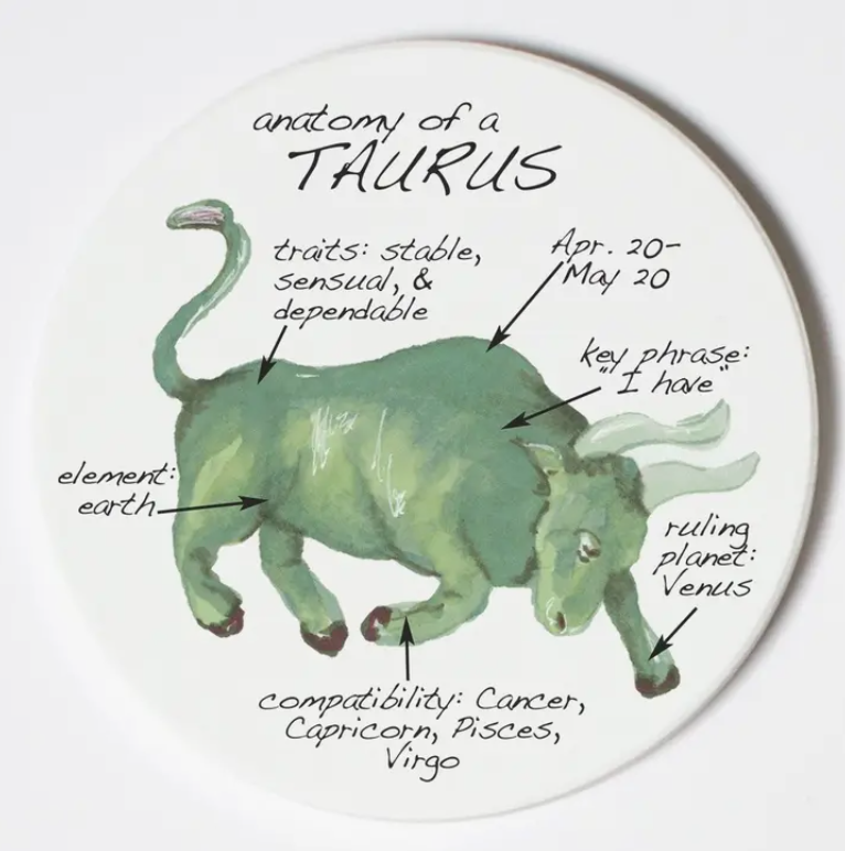 Taurus coaster Zodiac Anatomy Characteristics