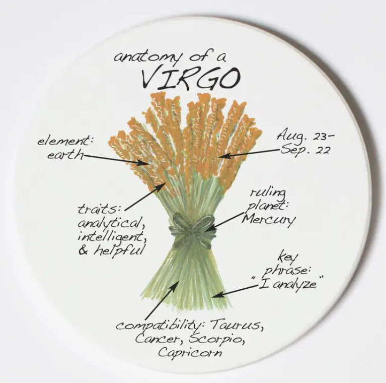 Virgo Coaster Zodiac Anatomy Characteristics