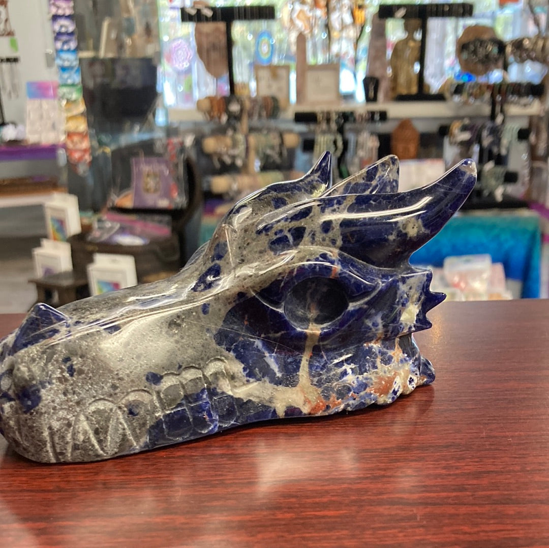 Sodalite Dragon Skull 6"