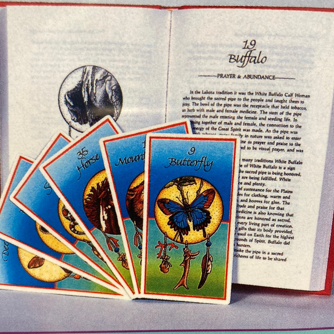 Medicine Cards Deck/Book Set by Jamie Sams & David Carson