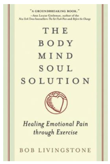 Body Mind Soul Solution: Healing Emotional Pain by Bob Livingstone